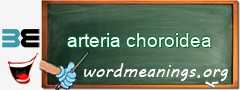 WordMeaning blackboard for arteria choroidea